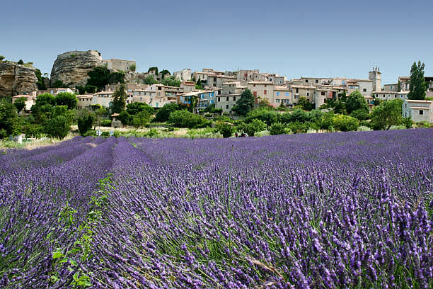 Grasse